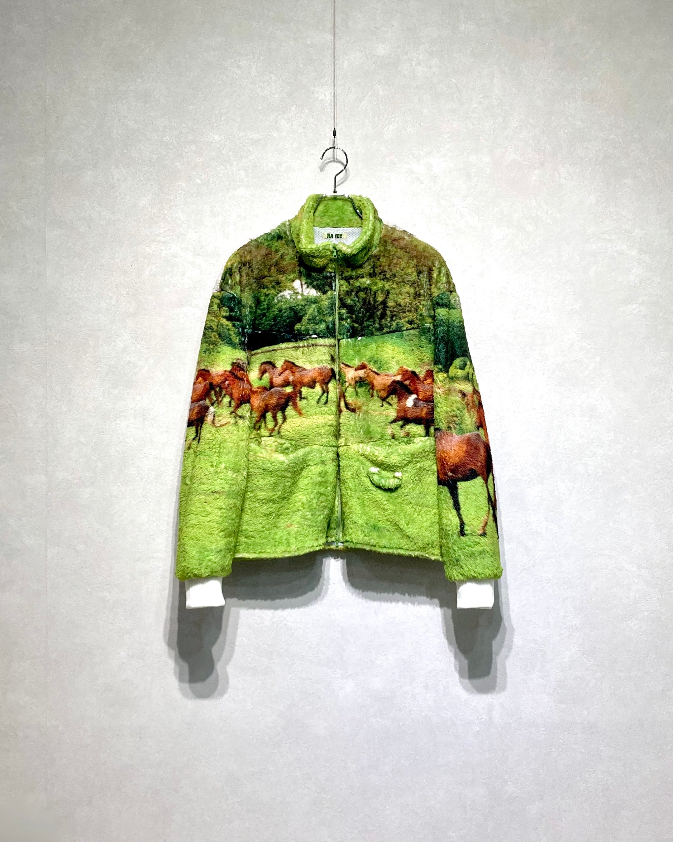 RANDY / STARRY - Horse