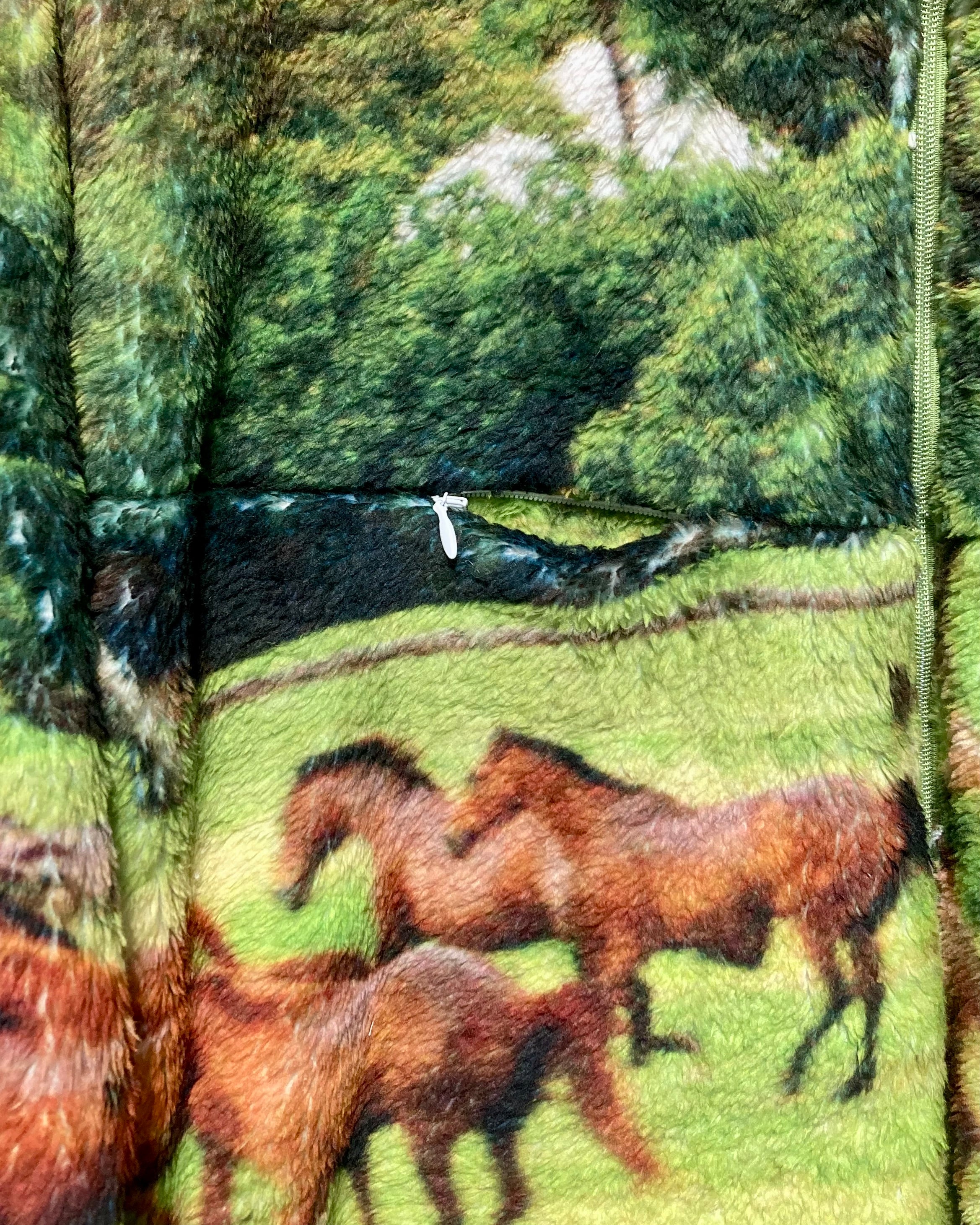 RANDY / STARRY - Horse