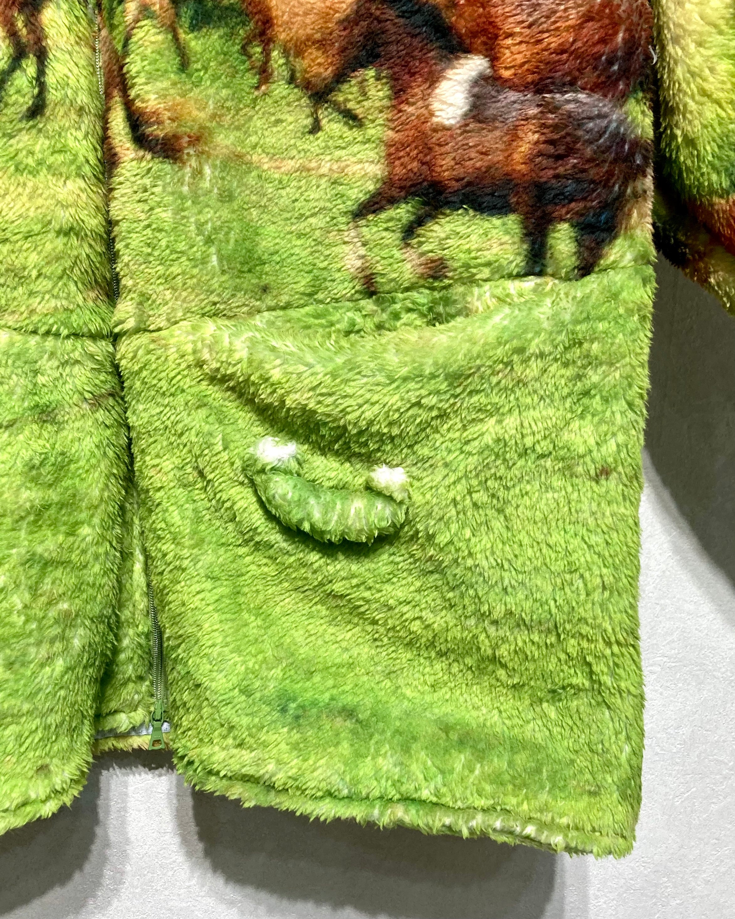 RANDY / STARRY - Horse