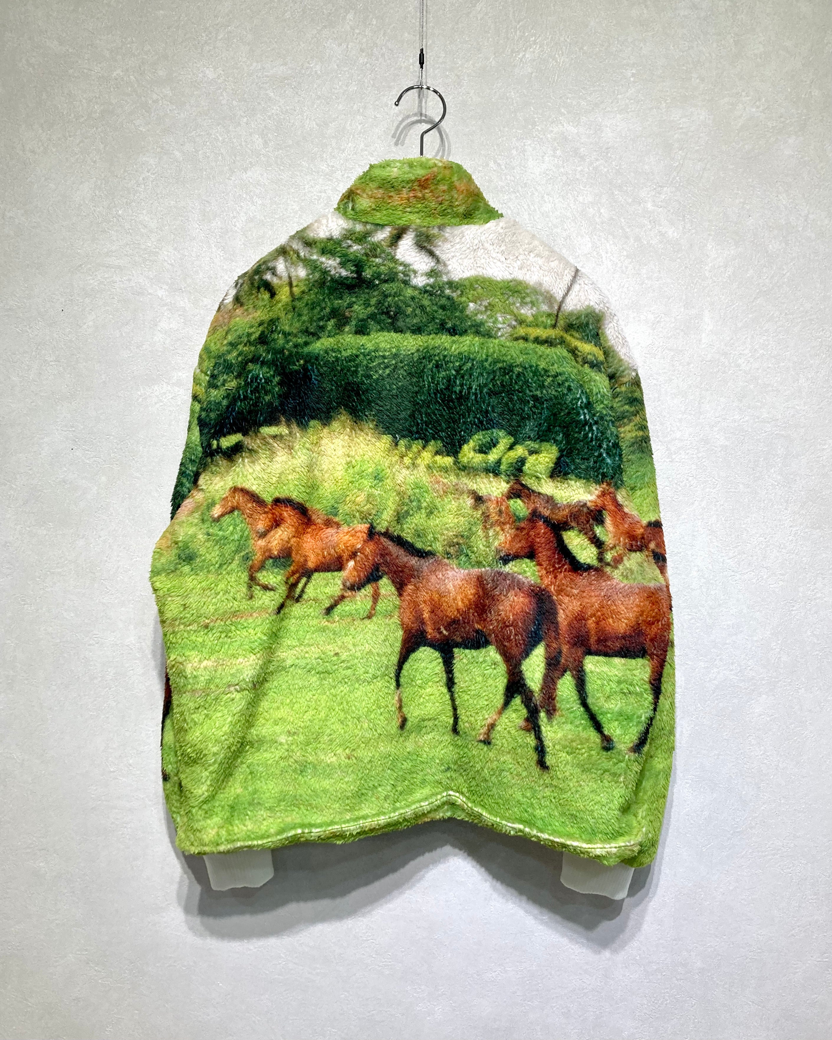 RANDY / STARRY - Horse