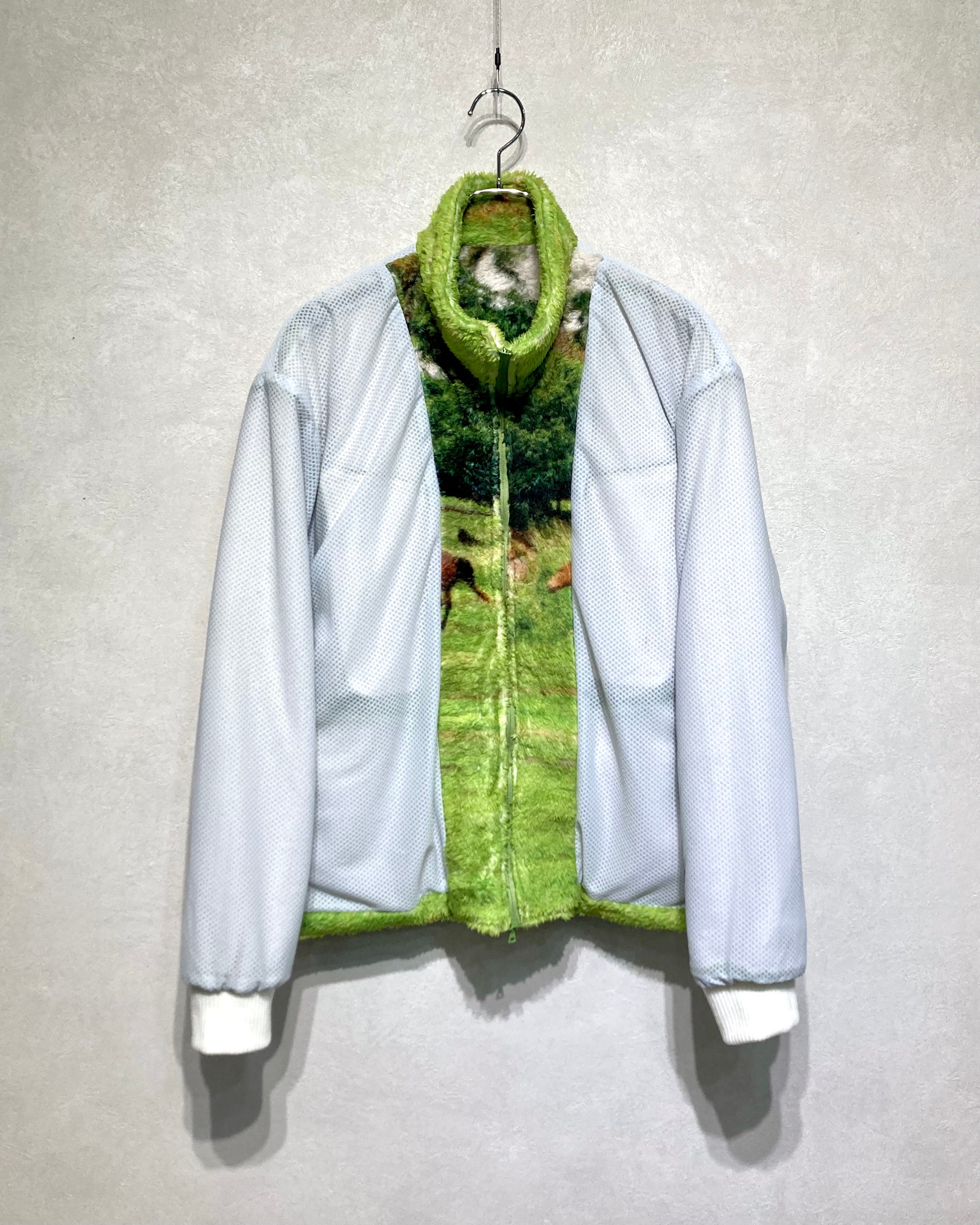 RANDY / STARRY - Horse