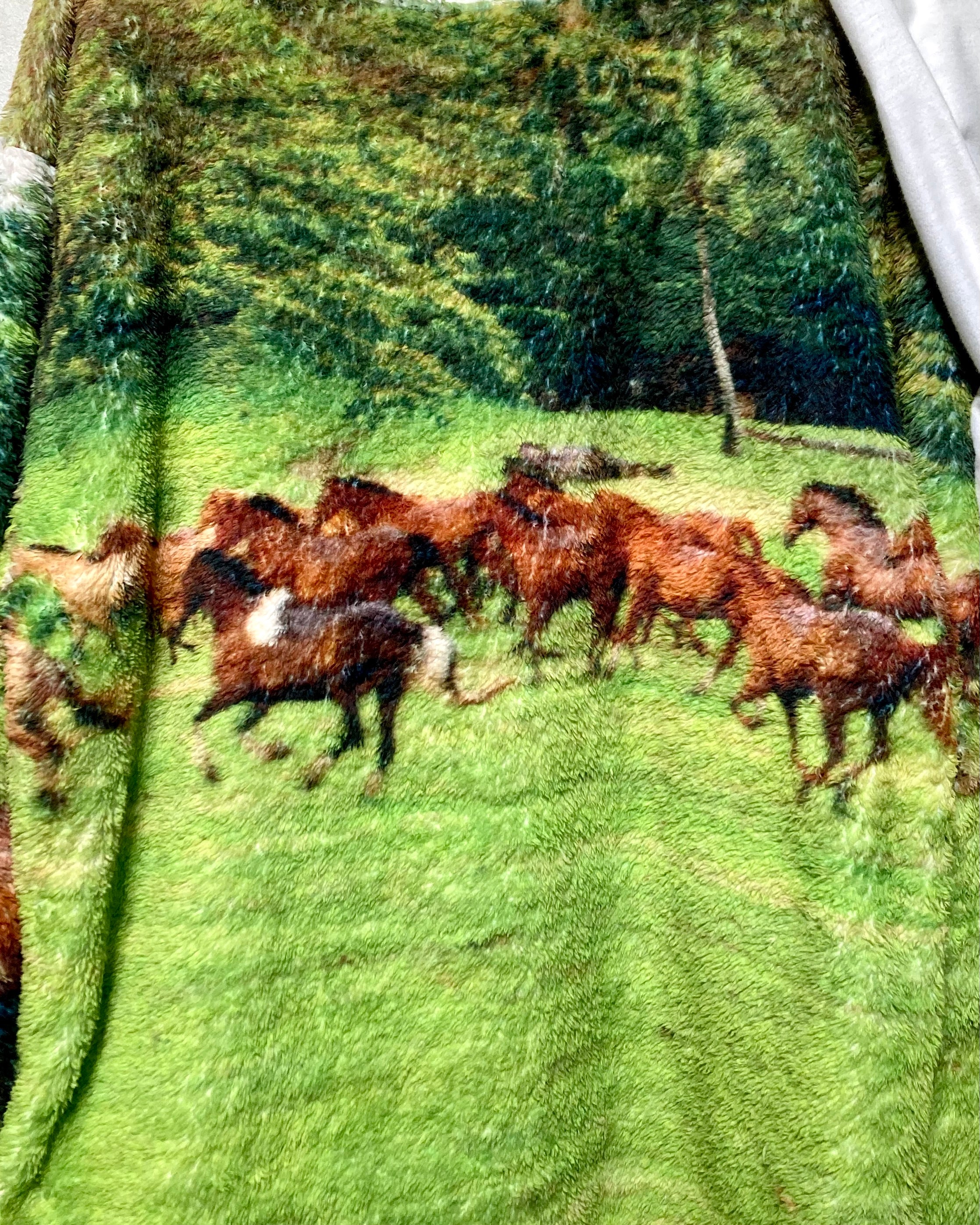 RANDY / SWEATING - White & horse